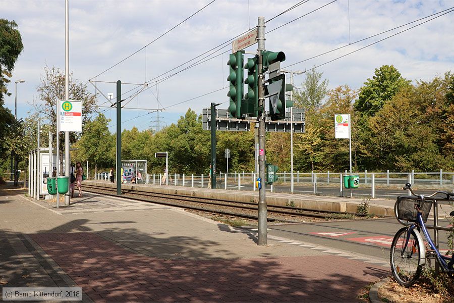 Düsseldorf - Straßenbahn - Anlagen
/ Bild: duesseldorfanlagen_bk1807310019.jpg Düsseldorf - Straßenbahn - Anlagen
/ Bild: duesseldorfanlagen_bk1807310019.jpg