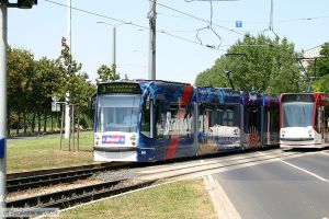 Bild: erfurt640_e0006241.jpg - anklicken zum Vergrößern Bild: erfurt640_e0006241.jpg - anklicken zum Vergrößern