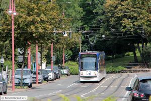 Bild: erfurt644_bk1408050212.jpg - anklicken zum Vergrößern