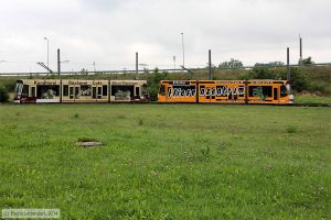 Bild: erfurt702_bk1408050013.jpg - anklicken zum Vergrößern