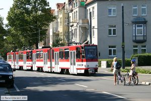 Bild: erfurt525_e0006191.jpg - anklicken zum Vergrößern Bild: erfurt525_e0006191.jpg - anklicken zum Vergrößern