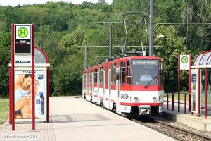 Bild: erfurt530_e0006368.jpg - anklicken zum Vergrößern