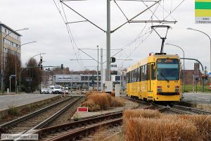 Bild: essen1164_bk1911260043.jpg - anklicken zum Vergrößern