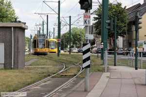 Bild: essen1527_bk1706180073.jpg - anklicken zum Vergrößern