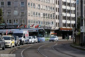 Bild: frankfurtmain247_bk2109280077.jpg - anklicken zum Vergrößern