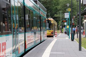 Bild: frankfurtmainanlagen_bk1806180113.jpg - anklicken zum Vergrößern Bild: frankfurtmainanlagen_bk1806180113.jpg - anklicken zum Vergrößern