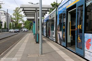 Bild: frankfurtmainanlagen_bk1905070076.jpg - anklicken zum Vergrößern