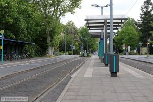 Bild: frankfurtmainanlagen_bk1905070080.jpg - anklicken zum Vergrößern
