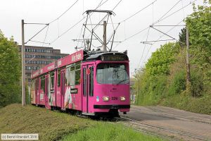 Bild: freiburg226_bk1604220122.jpg - anklicken zum Vergrößern