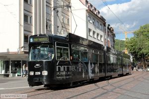 Bild: freiburg229_bk1706070315.jpg - anklicken zum Vergrößern