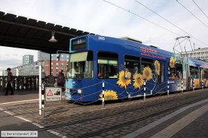 Bild: freiburg265_bk1408120361.jpg - anklicken zum Vergrößern