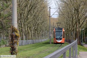 Bild: freiburg301_bk1604220173.jpg - anklicken zum Vergrößern Bild: freiburg301_bk1604220173.jpg - anklicken zum Vergrößern