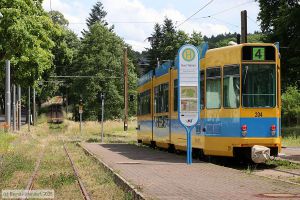 Bild: gotha204_bk2506260211.jpg - anklicken zum Vergr&ouml;&szlig;ern