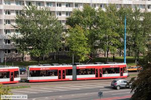 Bild: halle702_bk1408240119.jpg - anklicken zum Vergrößern