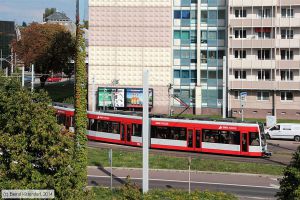 Bild: halle702_bk1408240120.jpg - anklicken zum Vergrößern