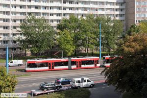 Bild: halle701_bk1408240118.jpg - anklicken zum Vergrößern