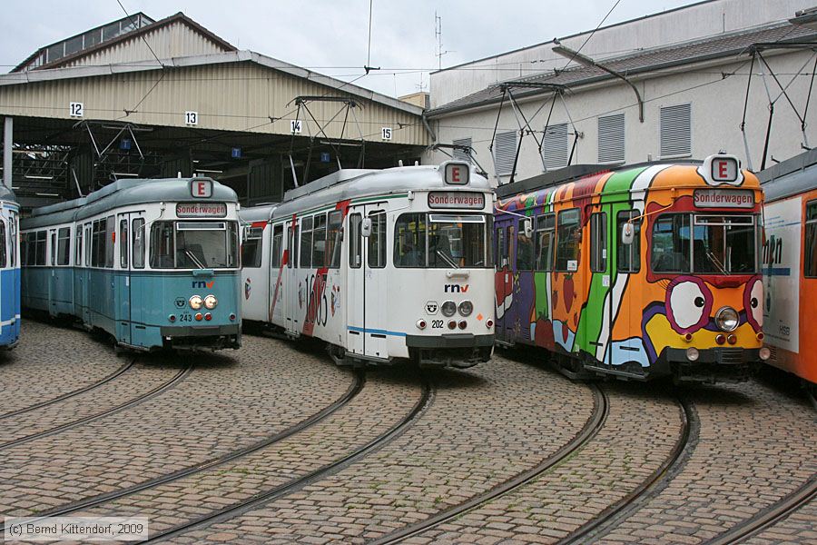 Straßenbahn Heidelberg - 202
/ Bild: hsb202_bk0906070062.jpg