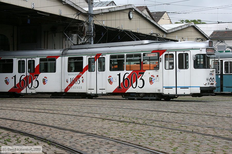 Stra&szlig;enbahn Heidelberg - 202
/ Bild: hsb202_bk0906070192.jpg
