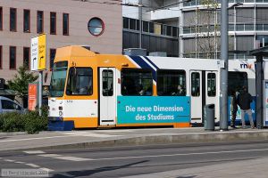 Bild: rnv3253_bk2305030088.jpg - anklicken zum Vergrößern