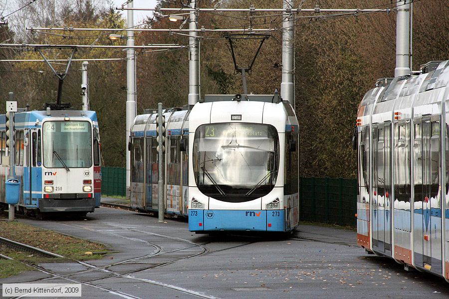 Straßenbahn Heidelberg - 273
/ Bild: hsb273_bk0912070085.jpg