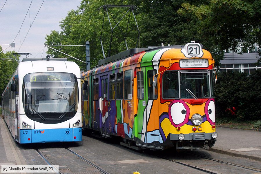Straßenbahn Heidelberg - 273
/ Bild: hsb273_cw1107060239.jpg