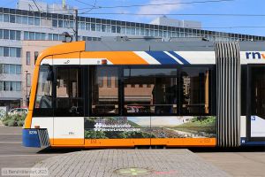 Bild: rnv3276_bk2305030071.jpg - anklicken zum Vergrößern