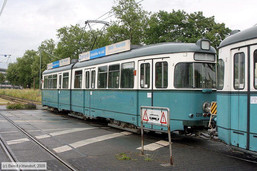 Straßenbahn Heidelberg - 293 (239)
/ Bild: hsb293239_bk0906070326.jpg