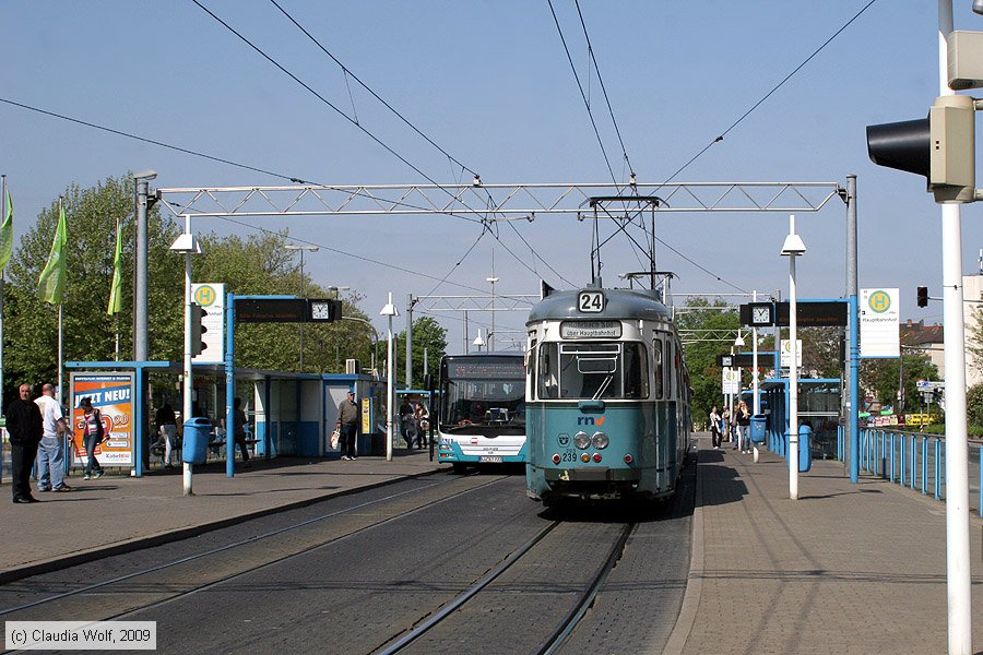 Straßenbahn Heidelberg - 293 (239)
/ Bild: hsb293239_cw0904250032.jpg