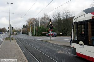 Bild: heidelberganlagen_bk0912070048.jpg - anklicken zum Vergrößern
