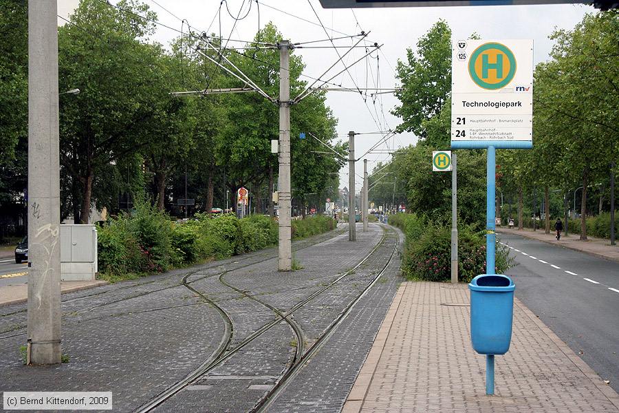Straßenbahn Heidelberg - Anlagen
/ Bild: heidelberganlagen_bk0906070309.jpg