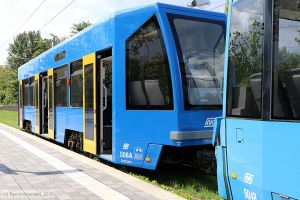 Bild: kassel508_bk1908130126.jpg - anklicken zum Vergrößern