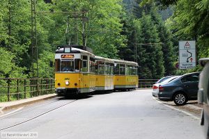 Bild: kirnitzschtalbahn6_bk1805290158.jpg - anklicken zum Vergrößern