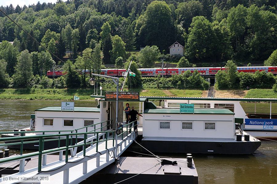 Fähre Bad Schandau - Elbfähre Lilienstein
/ Bild: badschandau_bk1805290104.jpg