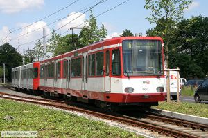 Bild: koeln2207_e0020702.jpg - anklicken zum Vergrößern