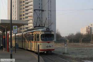 Bild: vbl155_cw0802130005.jpg - anklicken zum Vergrößern