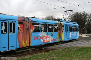 Bild: vbl157_bk0803100156.jpg - anklicken zum Vergr&ouml;&szlig;ern