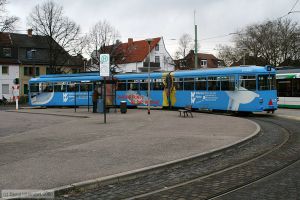 Bild: vbl157_bk0803100161.jpg - anklicken zum Vergr&ouml;&szlig;ern