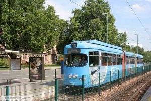 Bild: vbl157_bk0807310029.jpg - anklicken zum Vergr&ouml;&szlig;ern