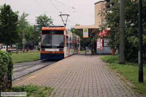 Bild: rnv2201_bk1906160001.jpg - anklicken zum Vergrößern