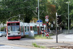 Bild: vbl203_bk0807310028.jpg - anklicken zum Vergrößern