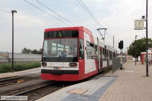Bild: rnv2211_bk1508090001.jpg - anklicken zum Vergrößern