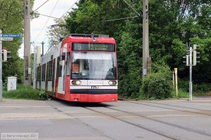 Bild: rnv2211_bk2105200005.jpg - anklicken zum Vergr&ouml;&szlig;ern