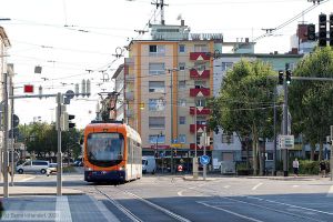 Bild: rnv2219_bk2007270007.jpg - anklicken zum Vergr&ouml;&szlig;ern