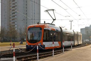 Bild: rnv2221_bk2502080005.jpg - anklicken zum Vergr&ouml;&szlig;ern