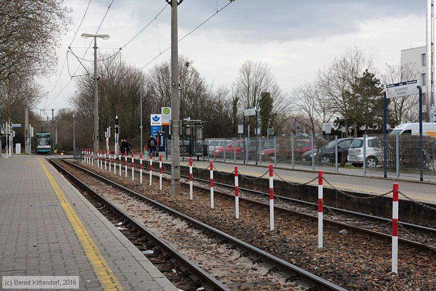 Straßenbahn Ludwigshafen - Anlagen
/ Bild: ludwigshafenanlagen_bk1603210010.jpg