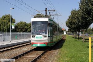 Bild: magdeburg1331_cw0708050026.jpg - anklicken zum Vergr&ouml;&szlig;ern