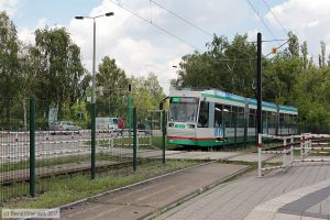 Bild: magdeburg1336_bk1707110146.jpg - anklicken zum Vergrößern