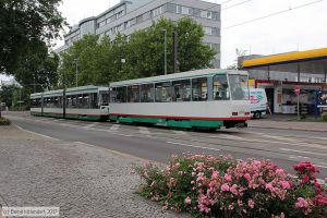Bild: magdeburg2206_bk1707100112.jpg - anklicken zum Vergrößern