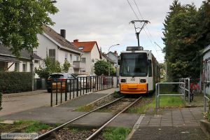 Bild: mainz202_bk1910050016.jpg - anklicken zum Vergrößern Bild: mainz202_bk1910050016.jpg - anklicken zum Vergrößern