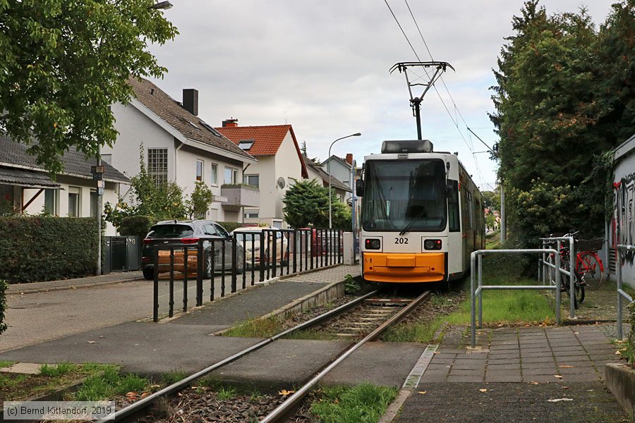 Straßenbahn Mainz - 202
/ Bild: mainz202_bk1910050016.jpg